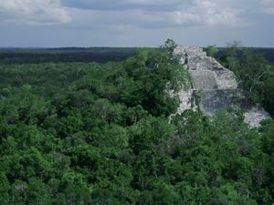 Ruinas de los templos Mayas en La Selva Maya