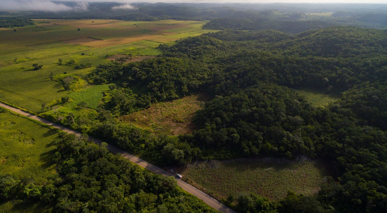 Vista aérea de los campos de maíz cerca de la comunidad menonita de Santa María, Campeche, México.