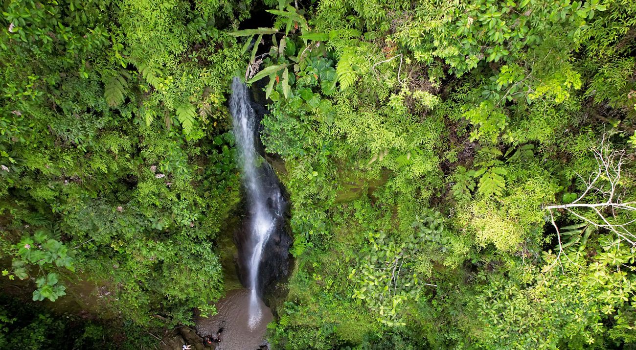 Vista desde arriba de una cascada en medio de arbustos reserva fluvial en ecuador.