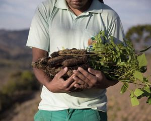 A man holds several tree seedlings in his arms.