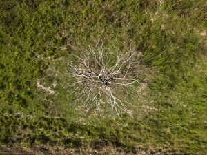 Vista aérea de tierras degradadas en el estado de Pará, Brasil.