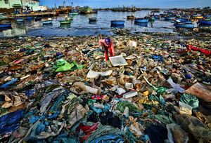 Costa de puerto invadido por residuos plásticos.