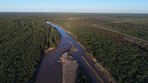 Regenerating the Gran Chaco The Nature Conservancy