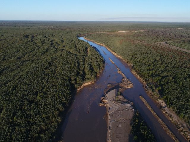 A sweeping view of a river flowing through the Gran Chaco landscape.
