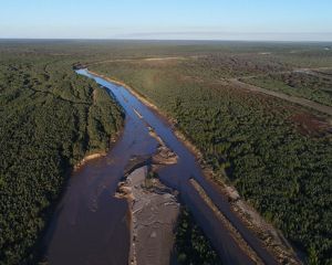 Una representación aérea del gran chaco argentino.