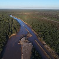expansive view of a river running through a forest