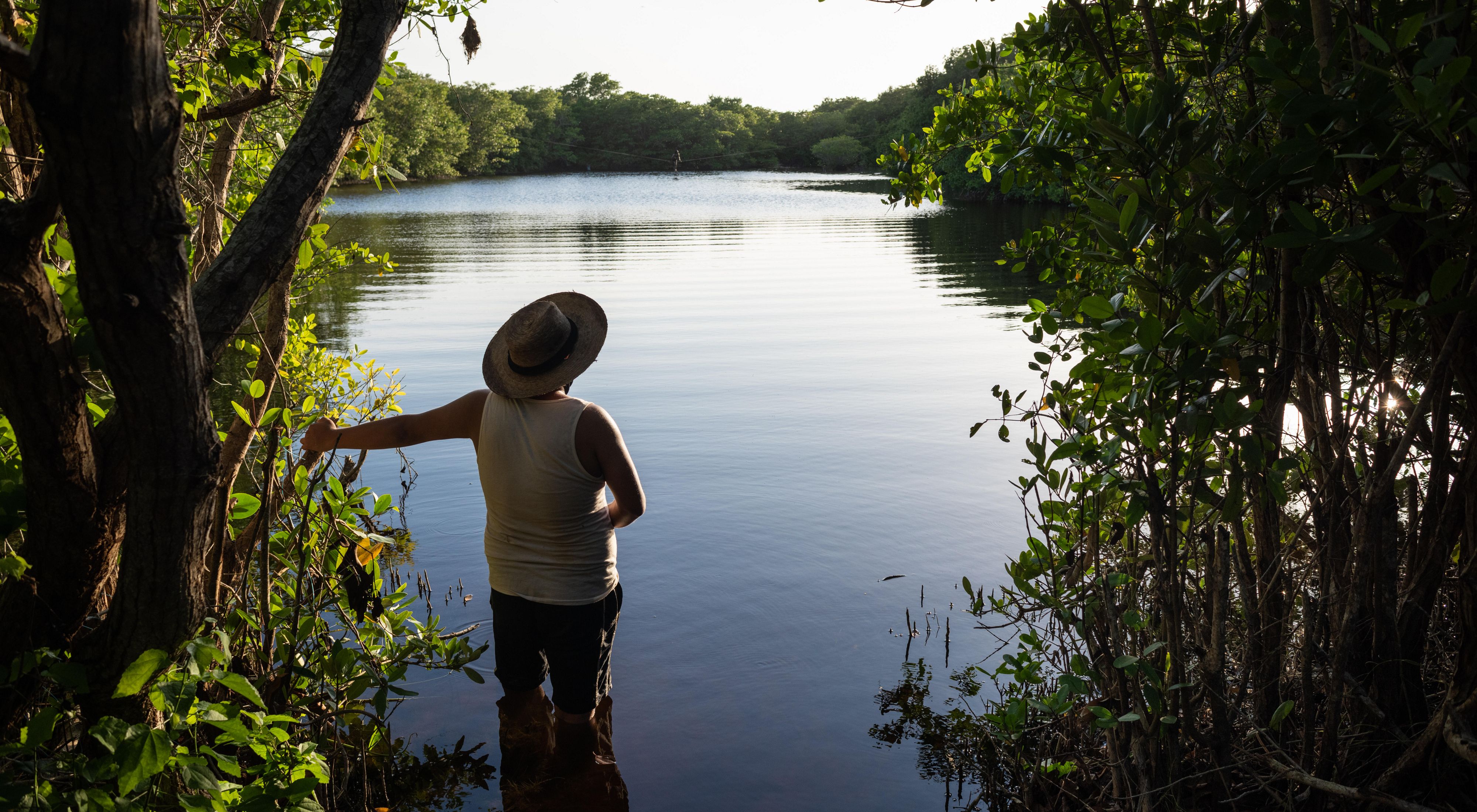 El manglar de Sisal // Hombre contemplando el atardecer en los manglares de Sisal, Yucatán. . Fecha: 03/07/2021