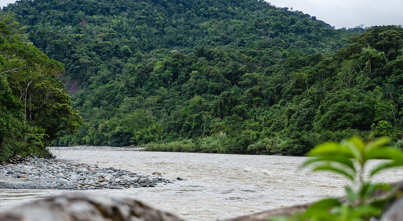Río Aguarico