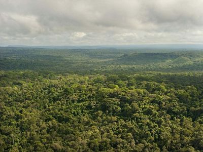 of a portion of the Amazon rainforest at São Félix do Xingu, a municipality in the Brazilian Amazon.