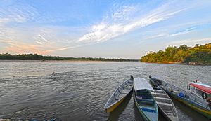 Boats on a river in the Andes Amazon. 