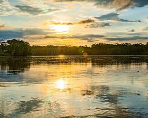 sunset over body of water surrounded by trees.