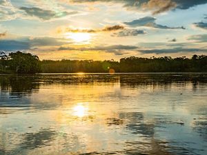 Vista del amanecer desde el río en la Amazonia