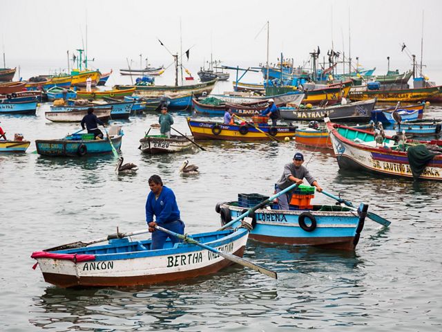 Pescado, Ancón, Perú. Ancón es un pequeño pueblo pesquero y un destino de vacaciones junto al mar a una hora al norte de Lima. 