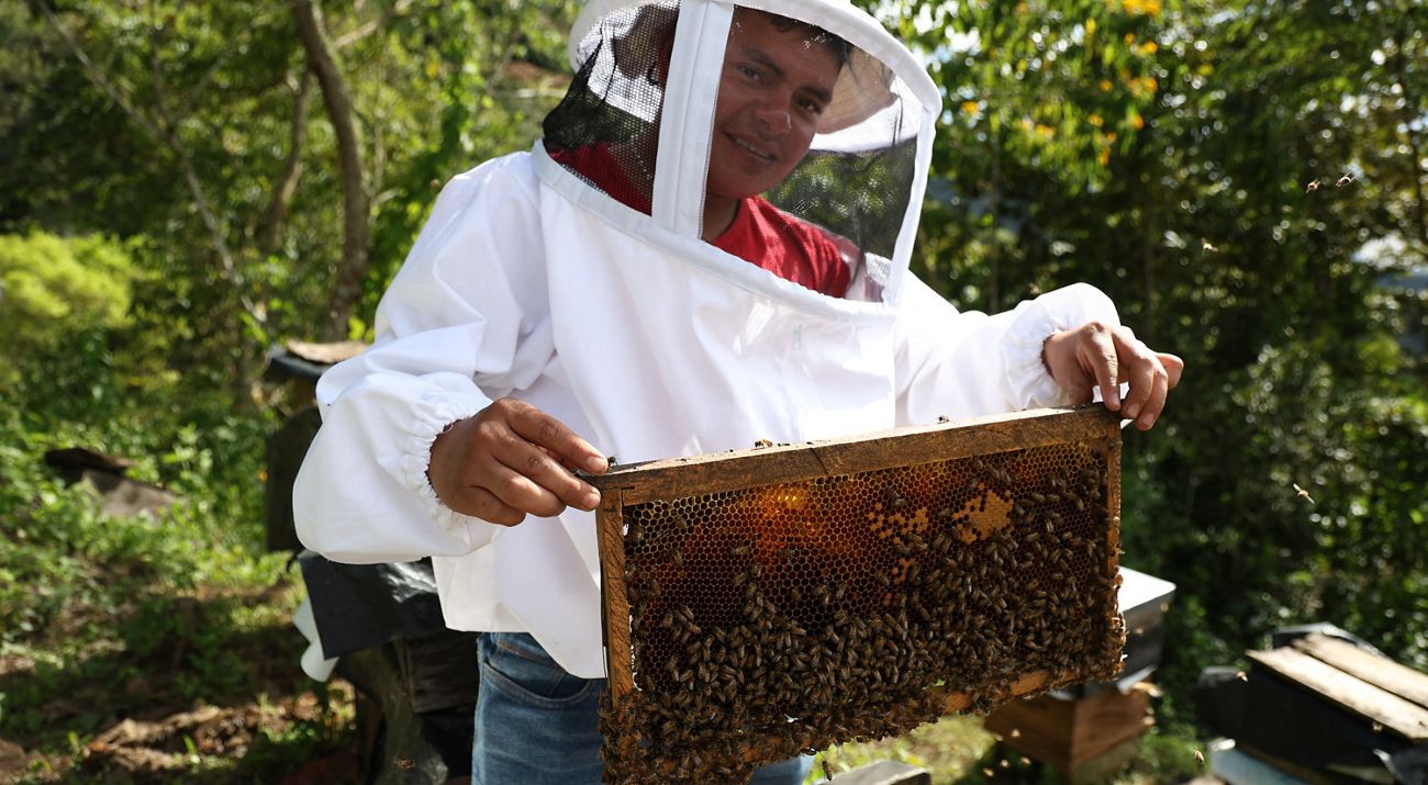 Un hombre sostiene una tapa de caja de madera con abejas.