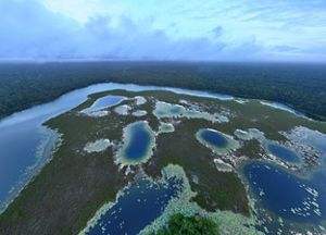 Paisaje de humedales en medio de la selva.