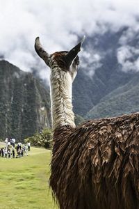 La vista en Machu Picchu, Perú. 