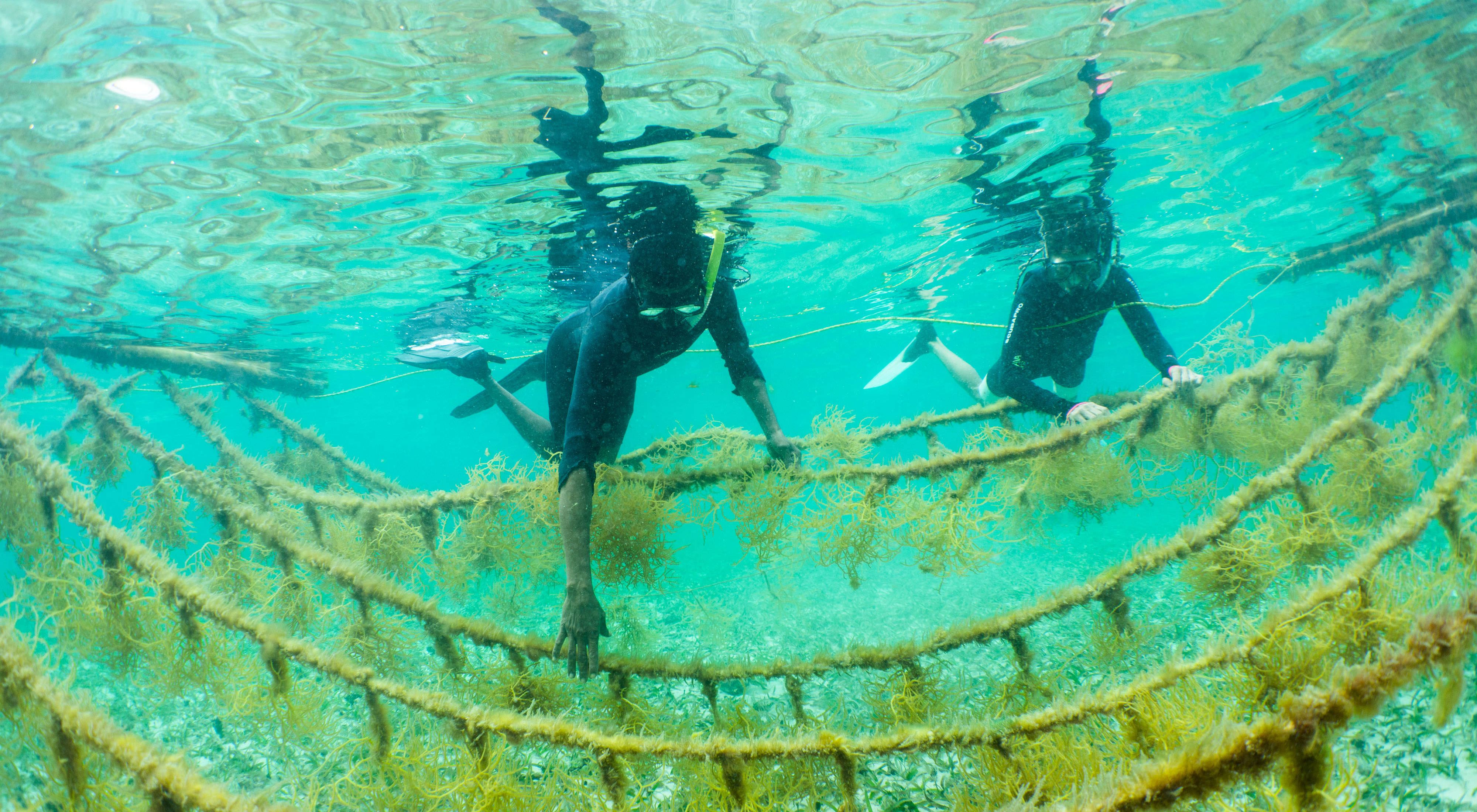 Divers working underwater in Belize
