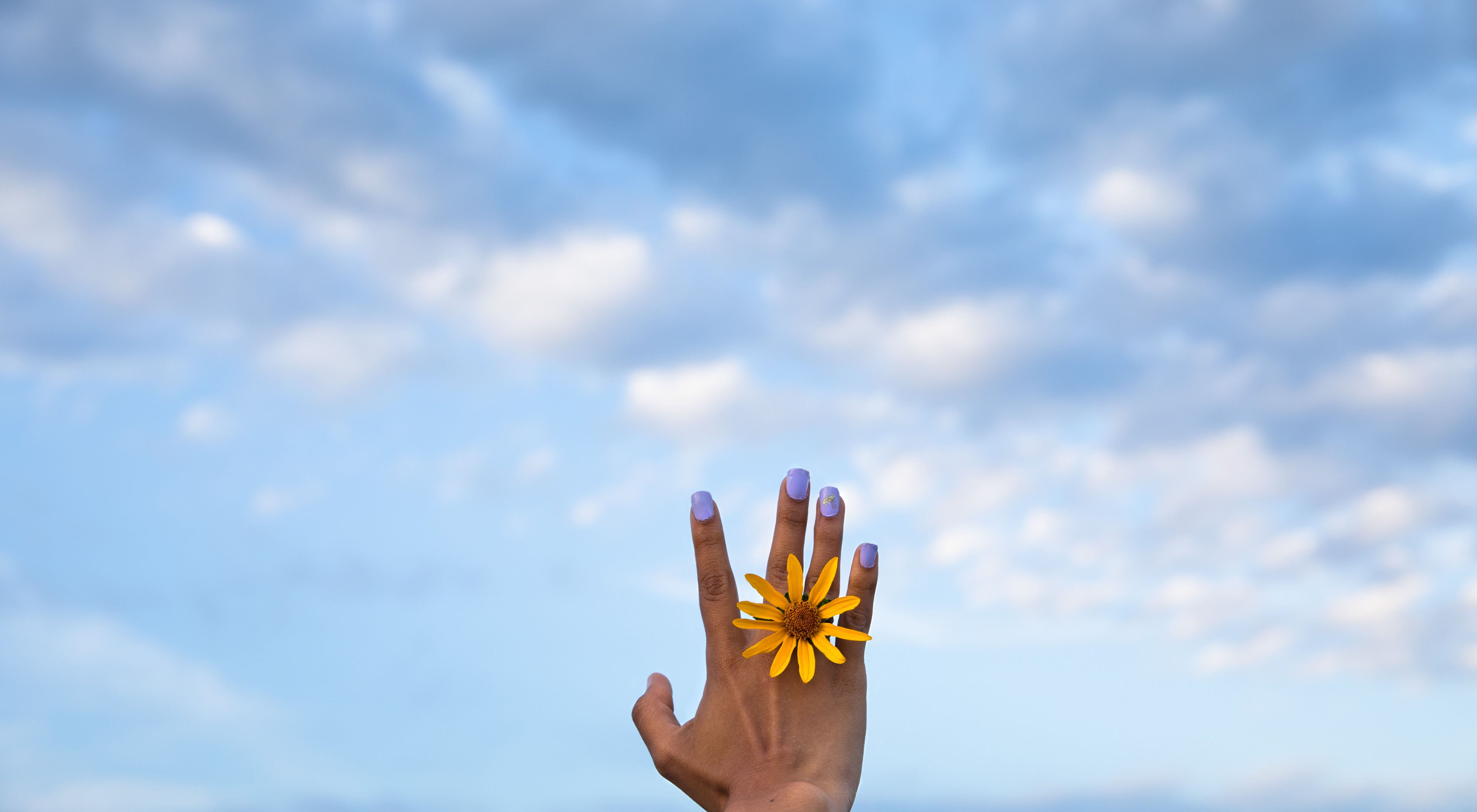 Una mujer sostiene una flor, de fondo un cielo azul embellece la tarde.