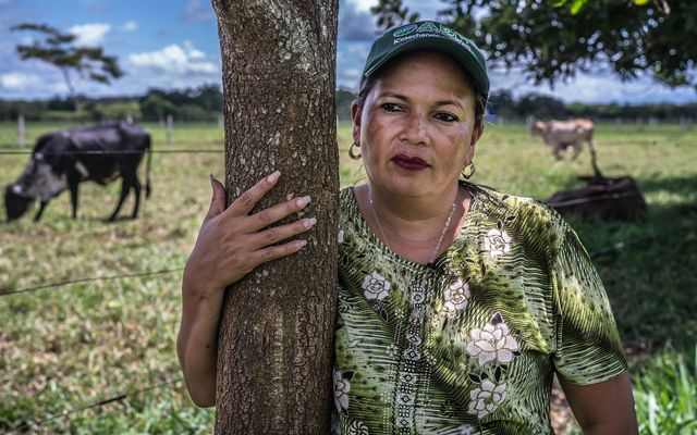 August 13, 2018. Meyer, Meta, Colombia. Blanca Raquel Guerrero (52) stands un one of the first trees she planted in her farm as part of This is part of silvopastoral systems, forage banks and living fences made up of native species that provide shelter for wildlife and in many cases help connect forest patches to protected areas, serving as wildlife corridors. Ms. Guerrero helped implement many of the sustainable practices on the farms of its members. Ms. Guerrero was displaced from Vista Hermosa, Meta in 2000 after FARC gain control of the territory as she was accused of being an informant and assisting the Colombian Army. She arrived to San Martin with her six children and began to work for the property rights of internally displaced peasants. She was on the first members to join and help promote Sustainable ranching program in her farm.