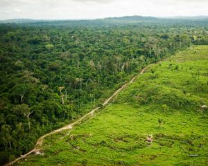 Una vista aérea que muestra la deforestación de la ganadería en São Félix do Xingu.