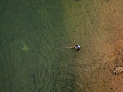 Boto do Araguaia (Inia araguaiaensis) nadando junto a un pescador local usando una caña de bambú para pescar en el río Tocantins, en Imperatriz-MA