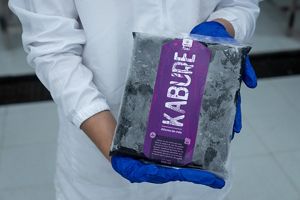 A bag of processed fruit.