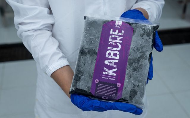 Uma bolsa com frutas processadas.