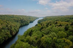a river cutting through a lush green forest.