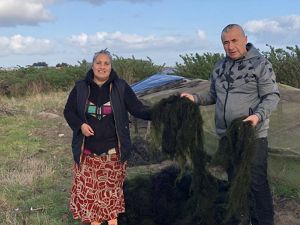 Un hombre y una mujer sonríen al aire libre, sosteniendo algas verdes en un entorno rural con arbustos y un cielo nublado. Parecen contentos y comprometidos.