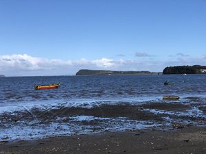 Una serena escena costera con dos pequeñas embarcaciones flotando en aguas tranquilas y azules.