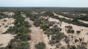 Siembra directa Gran Chaco.