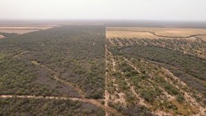 Siembra directa Gran Chaco.