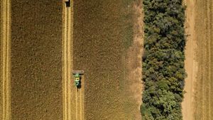 Agricultura en el Gran Chaco