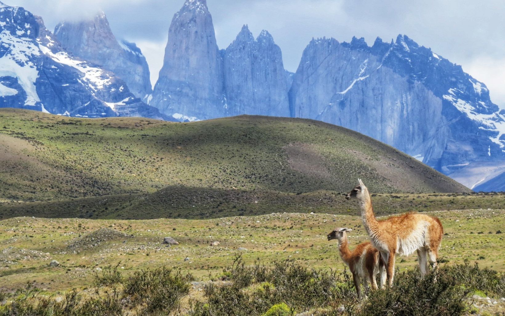 Chile es un país con características geográficas que lo dotan de una rica biodiversidad 