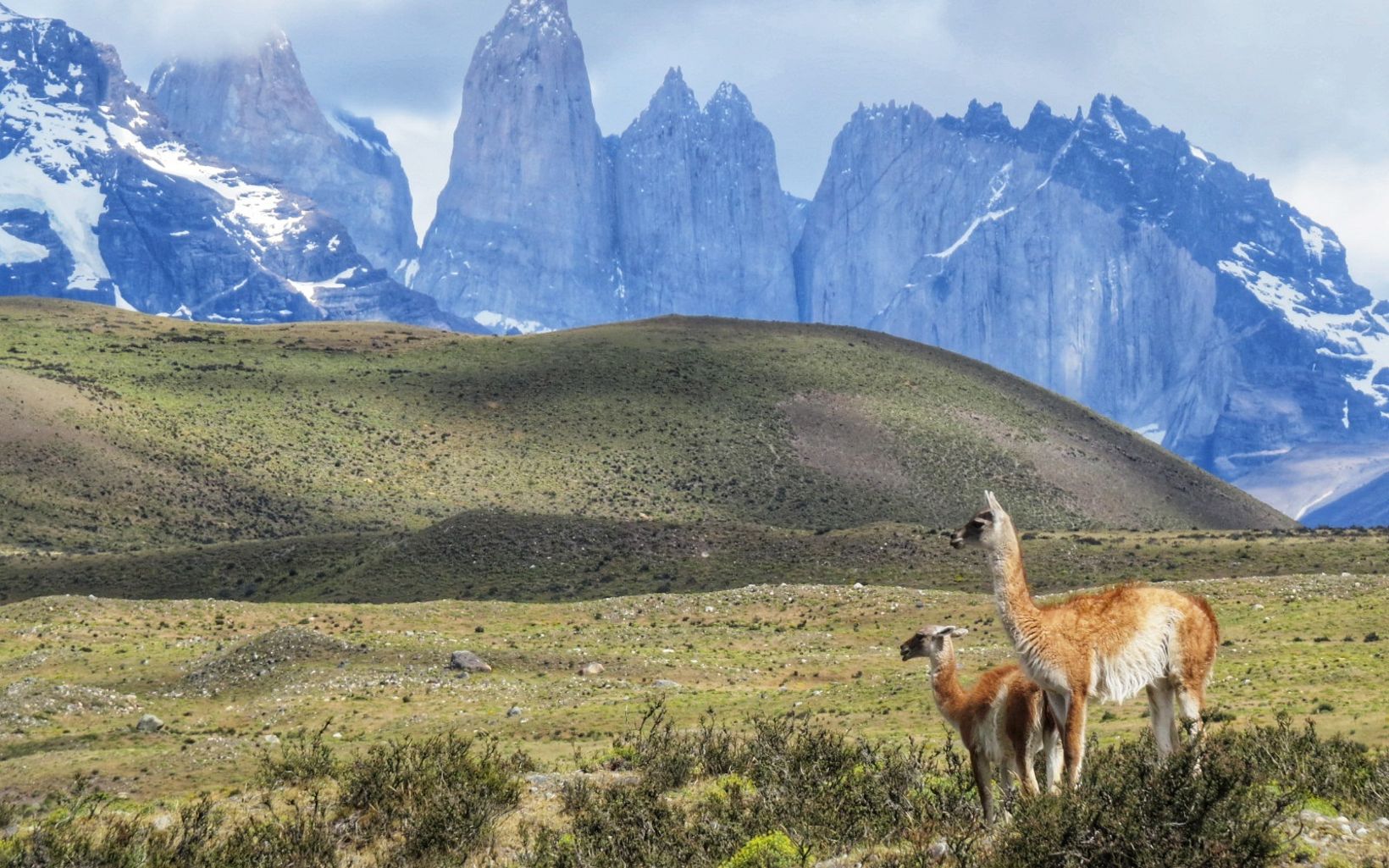 Chile es un país con características geográficas que lo dotan de una rica biodiversidad