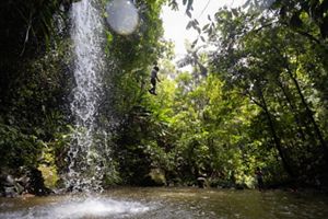  Una exuberante cascada en la selva, con gente saltando alegremente desde las rocas al agua.