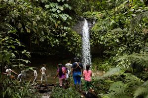 Un grupo de cinco personas se encuentra cerca de una cascada en la jungla exuberante, rodeado de vegetación y la bruma que emana del agua que cae en cascada.