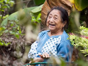 mujer sonríe en su cultivo de maíz 