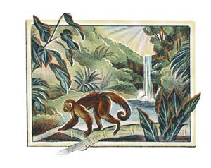 Una ilustración de un mono en una rama con una cascada y la selva de fondo.