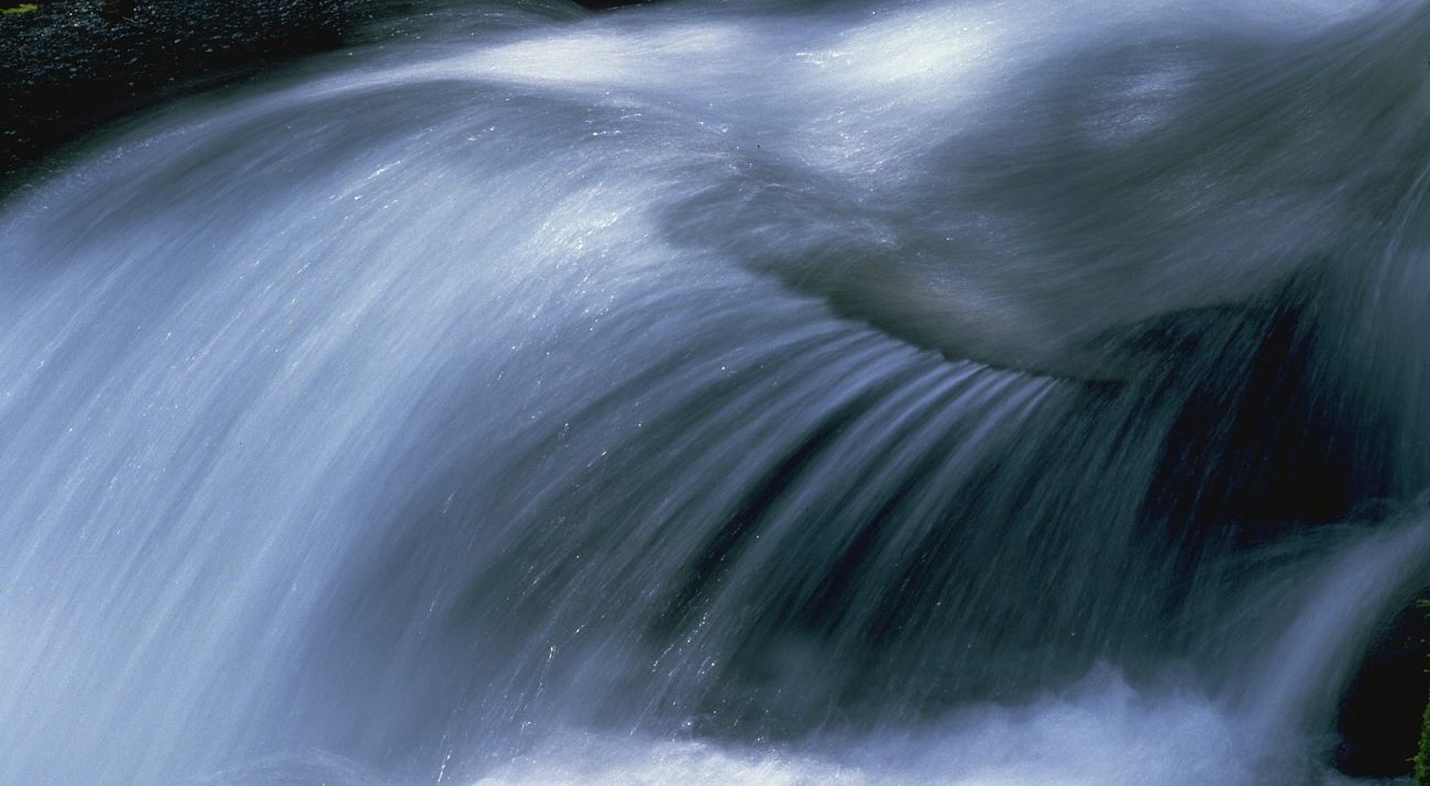 río en el Parque Internacional La Amistad en Costa Rica