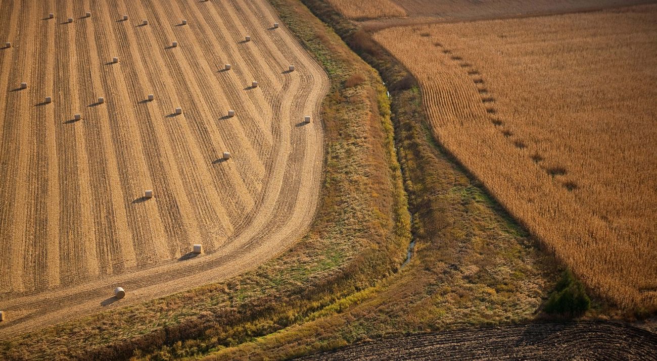 Vista aérea de pastizales y drenaje agrícola en Minnesota.