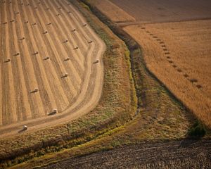 Vista aérea de pastizales y drenaje agrícola en Minnesota.