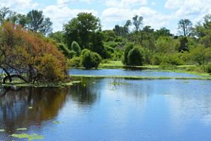 Gran Chaco The Nature Conservancy