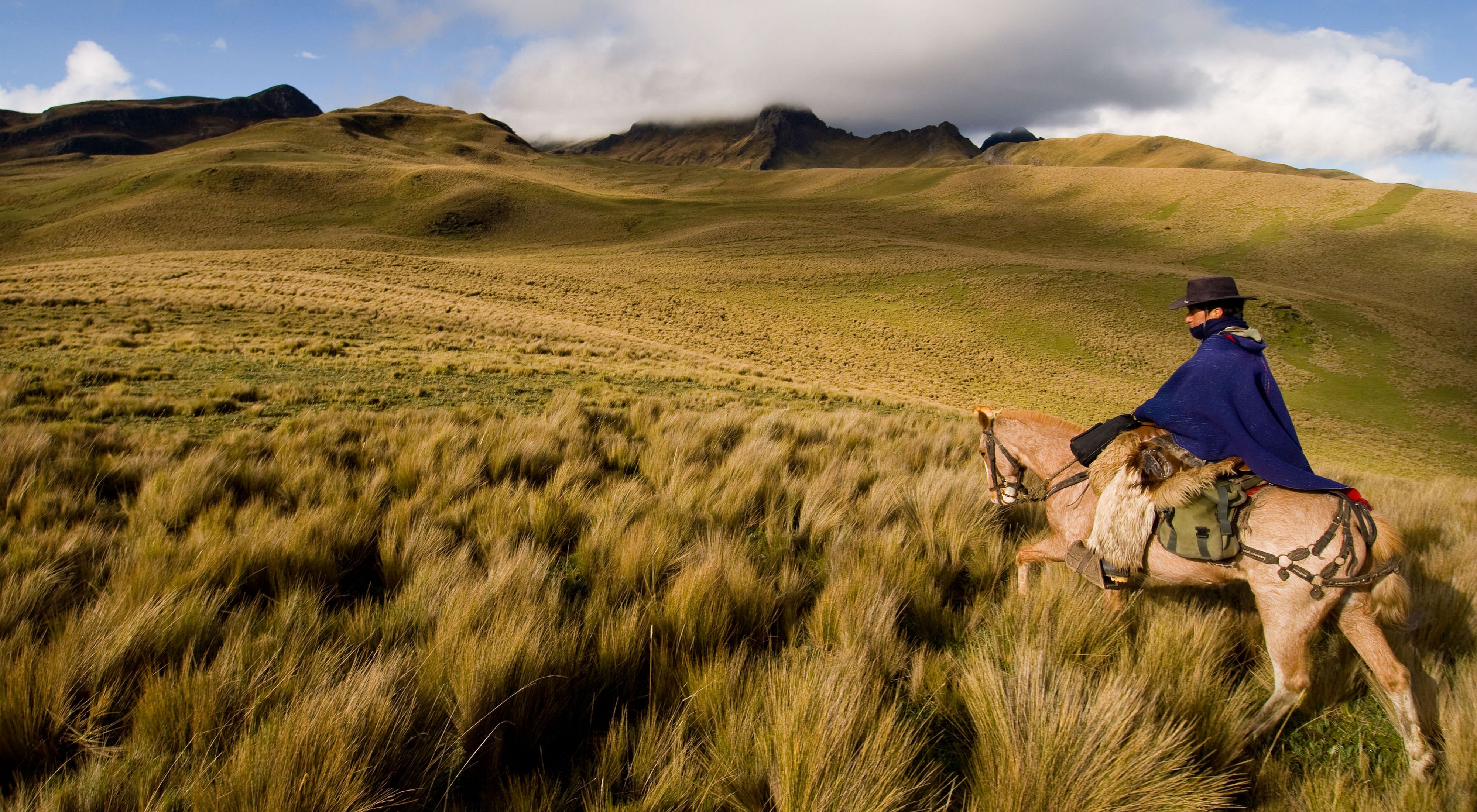 Local ecotourism guide, Celso Changoluisa, rides through high Andean grasslands in the Cotopaxi National Park buffer Zone in Ecuador, South America. Celso works at the Santa Rita hacienda, owned and operated as an eco-tourist business by Jorge Perez, who works with the Conservancy and other landowners to improve cattle ranching practices and preserve the region.  
