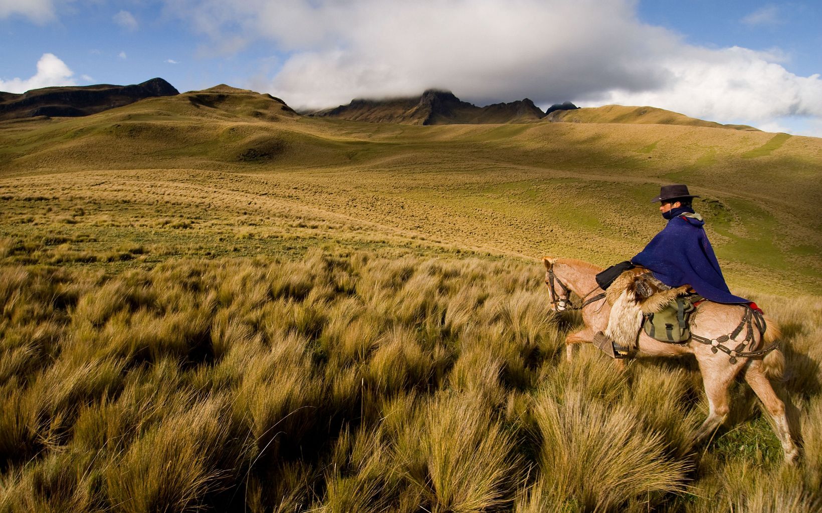 A farmer rides a horse on Andean highlands