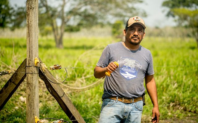En una finca, una persona sostiene los cables de una cerca eléctrica.
