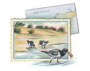 Una ilustración de un sello con tres ostreros en la playa; uno de ellos se está desprendiendo del sello. Detrás del sello hay una postal con un mapa de Great South Bay.