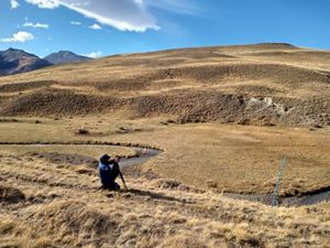 Un hombre se encuentra en una colina en un vasto campo, rodeado de vegetación bajo un cielo azul claro.