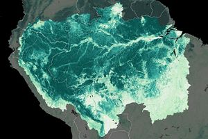 Mapa con densidad de biomasa en la Amazonía. 
