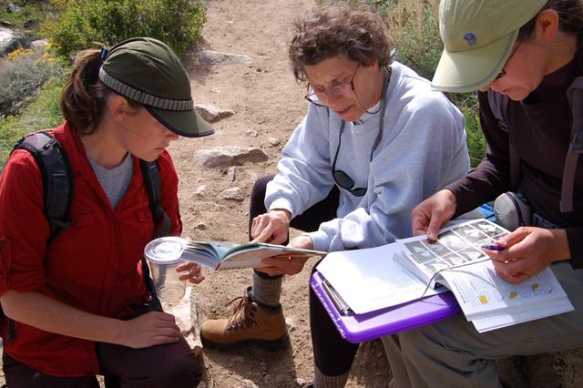 Volunteers and employees of The Nature Conservancy of Wyoming participate in the annual Butterfly Blitz at the Conservancy's Red Canyon Ranch, an opportunity to collect and document Wyoming’s beautiful butterflies. Image size: 6.6 by 10 inches at 300 dpi. Photo credit: © Kerry Brophy Lloyd/TNC      